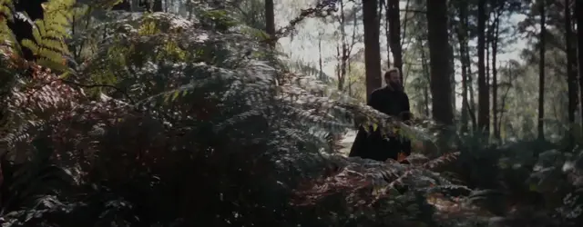 Baylan, small among the trees